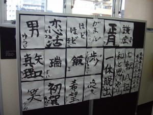 IMGP2583