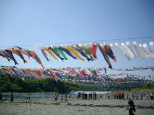 IMGP0636