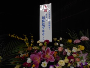 DSCN4141