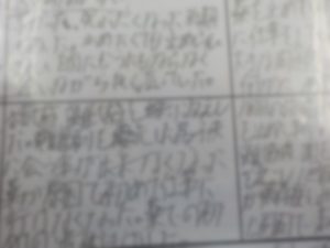 DSCN0784